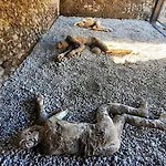 Nyaraló Olympus Pompeji