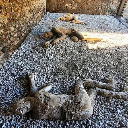 Nyaraló Olympus Pompeji